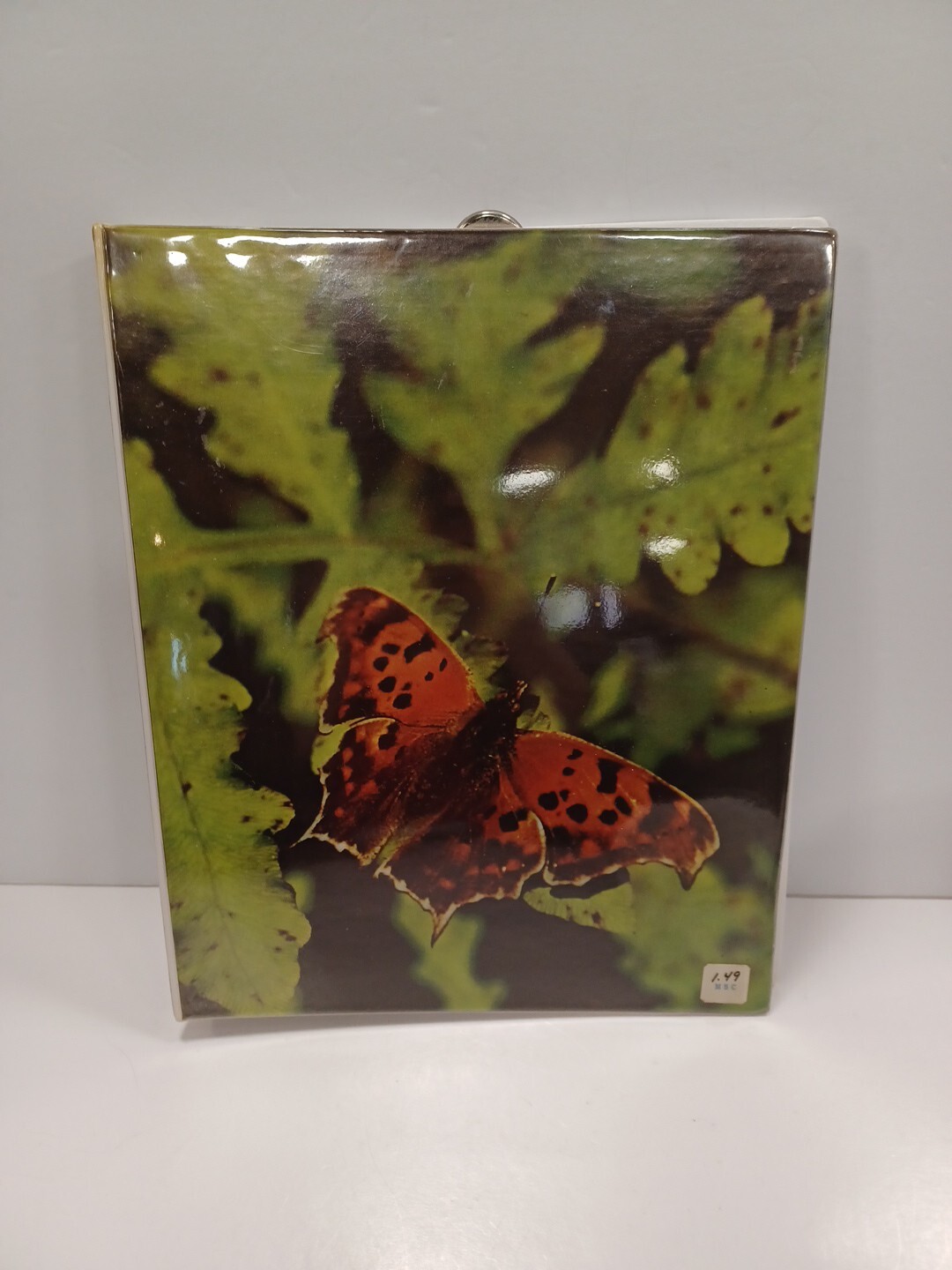 Vintage 1980 Mead THE SYSTEM WESTLAB BUTTERFLY School File Folder Trapper Keeper