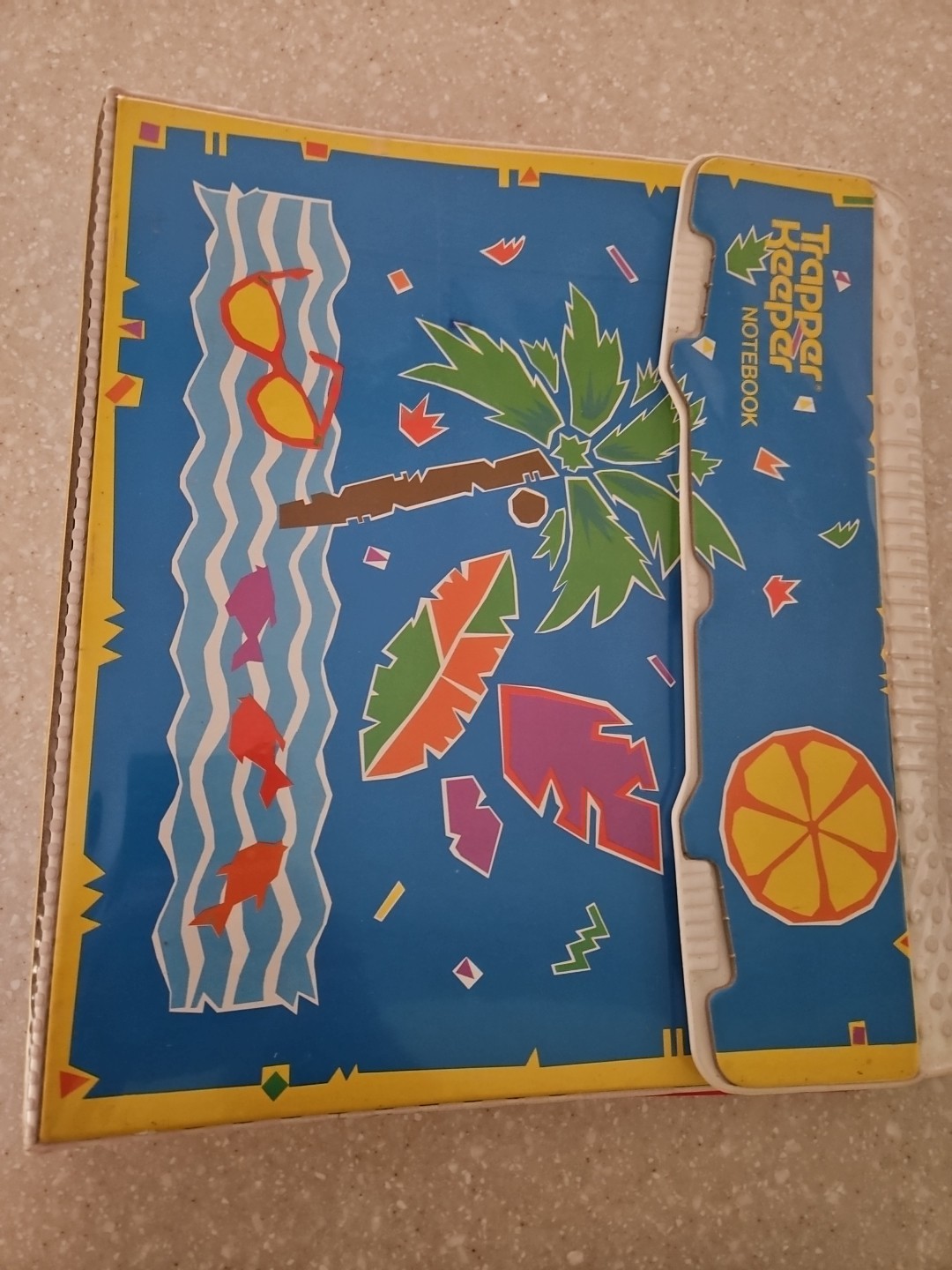 Mead Vintage 90s Trapper Keeper Blue Sky Beach Palm Tree Notebook 3 Ring Binder