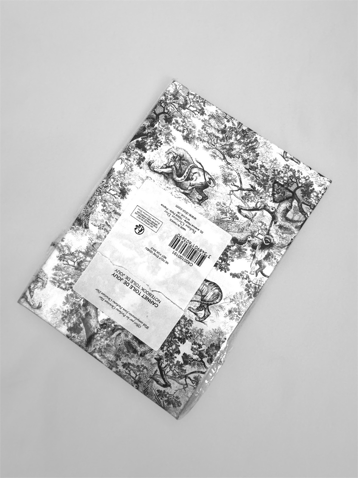 Dior Novelty Notebook/Journal NEW
