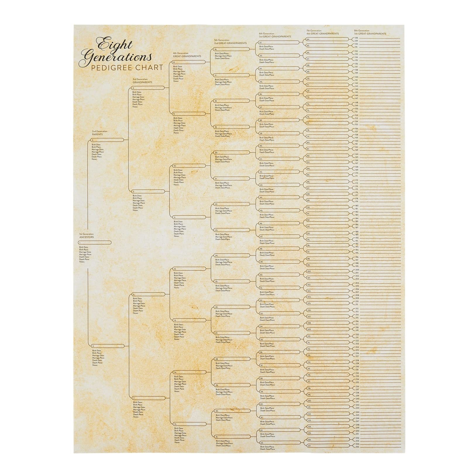 15 Pack Family Tree Charts to Fill in – Blank 8 Generation Genealogy Poster for