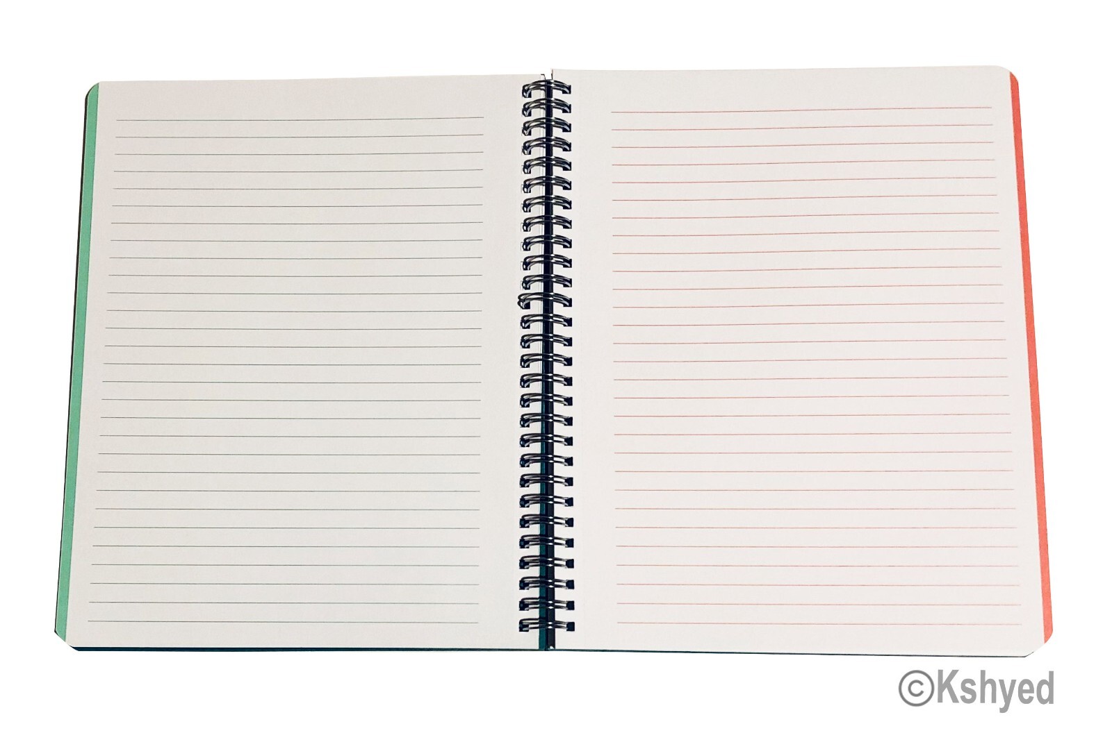 Molly & Rex Spiral Notebook, Floral Pattern (1 Pack), Wide Ruled with Folder-New