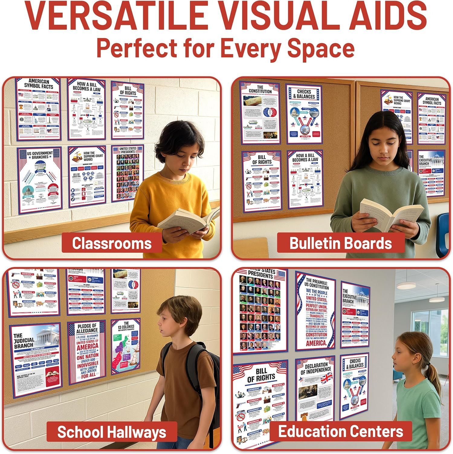 18 US Government Posters for Classroom, 11X17In Matte-Laminated Educational Bill