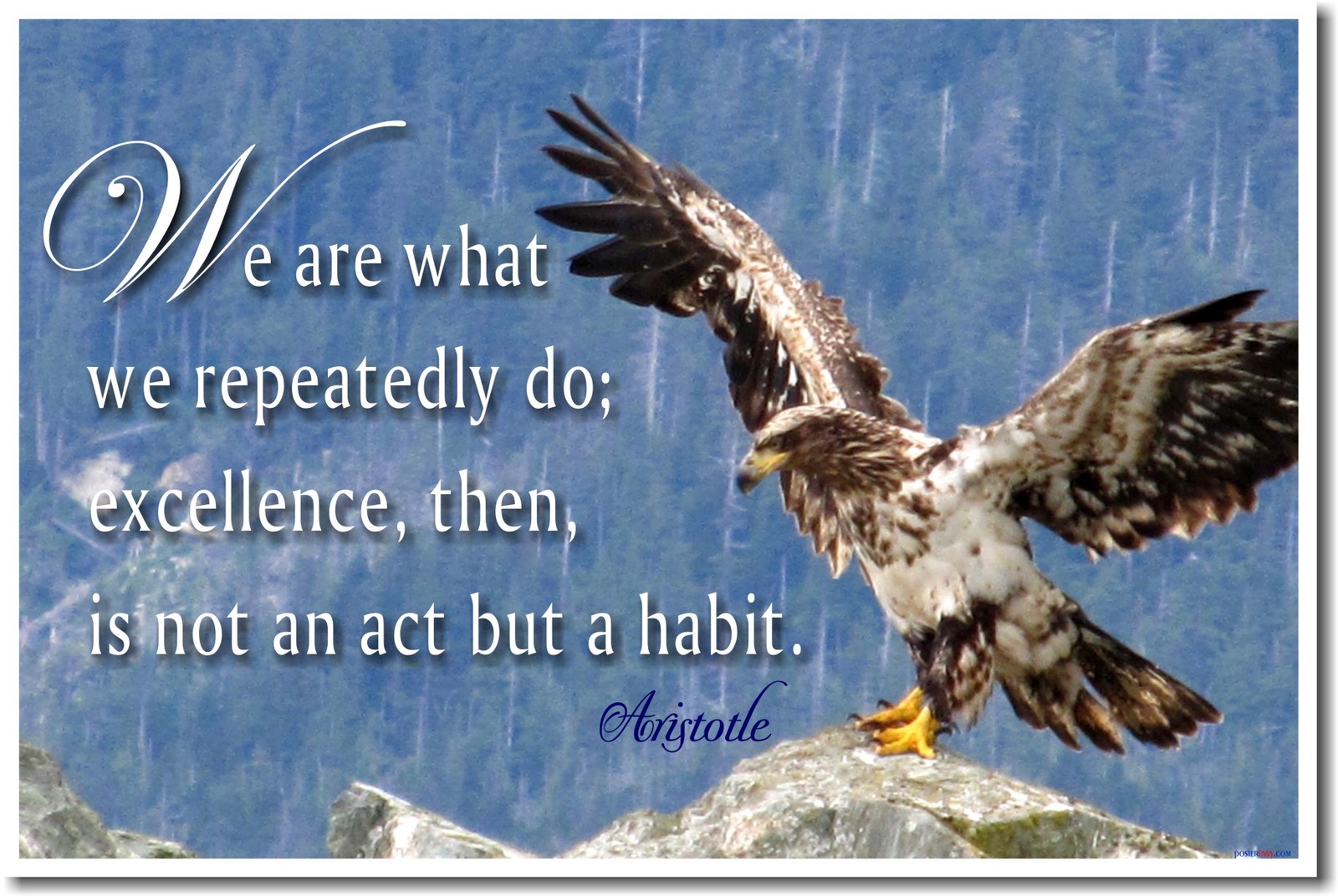 NEW Classroom Motivational POSTER – We Are What We Repeatedly Do… Aristotle