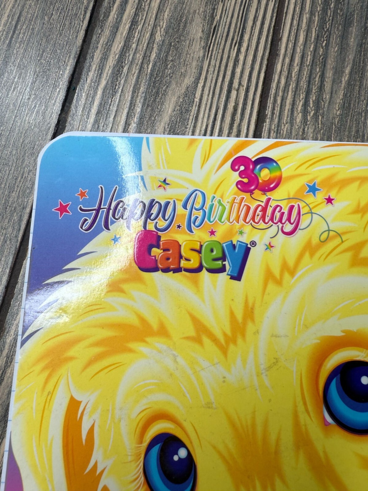 Lisa Frank 2021 Puppy Spiral Notebook 1 Subject 80 Sheets 10.5×8 Inches Wide Rul