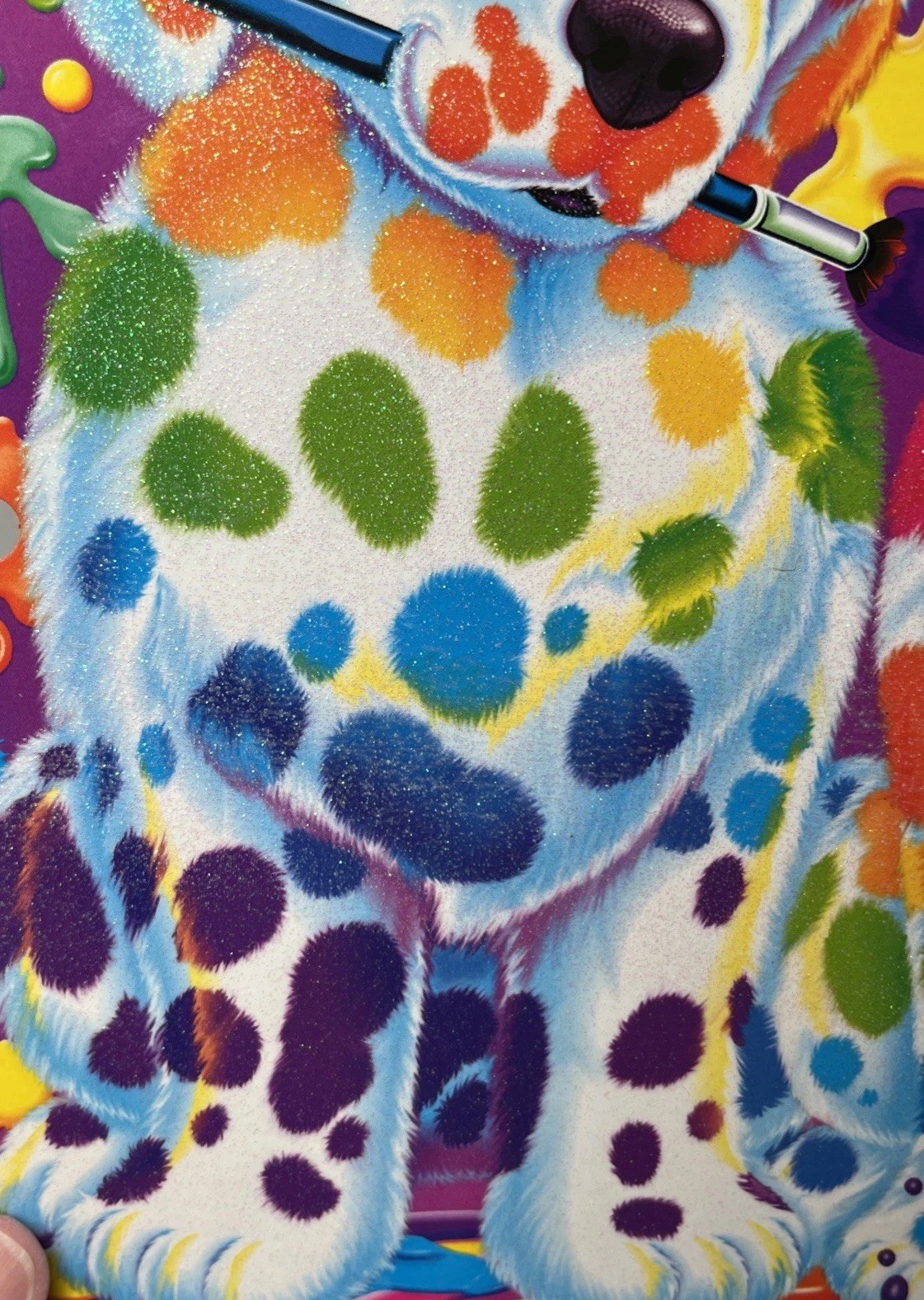 Lisa Frank Spotty & Dotty 3 Hole 2 Pocket Binder Folder Exc Cond 2014 Glittery