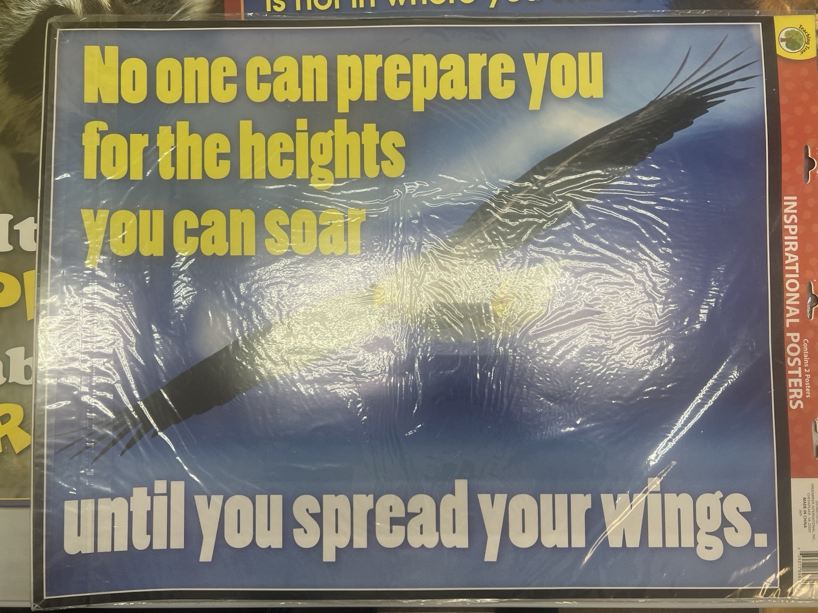 (7) NEW Teaching Tree Motivational Educational Posters 2-Pack Sealed