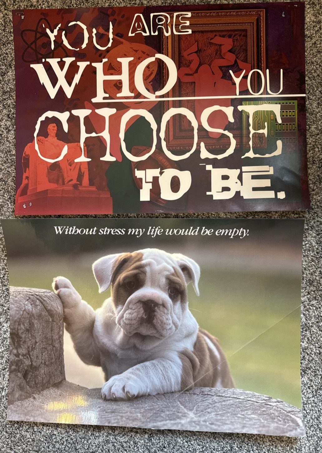 Classroom Poster Set 11 posters (2 sizes) laminated Argus brand (1 is not)