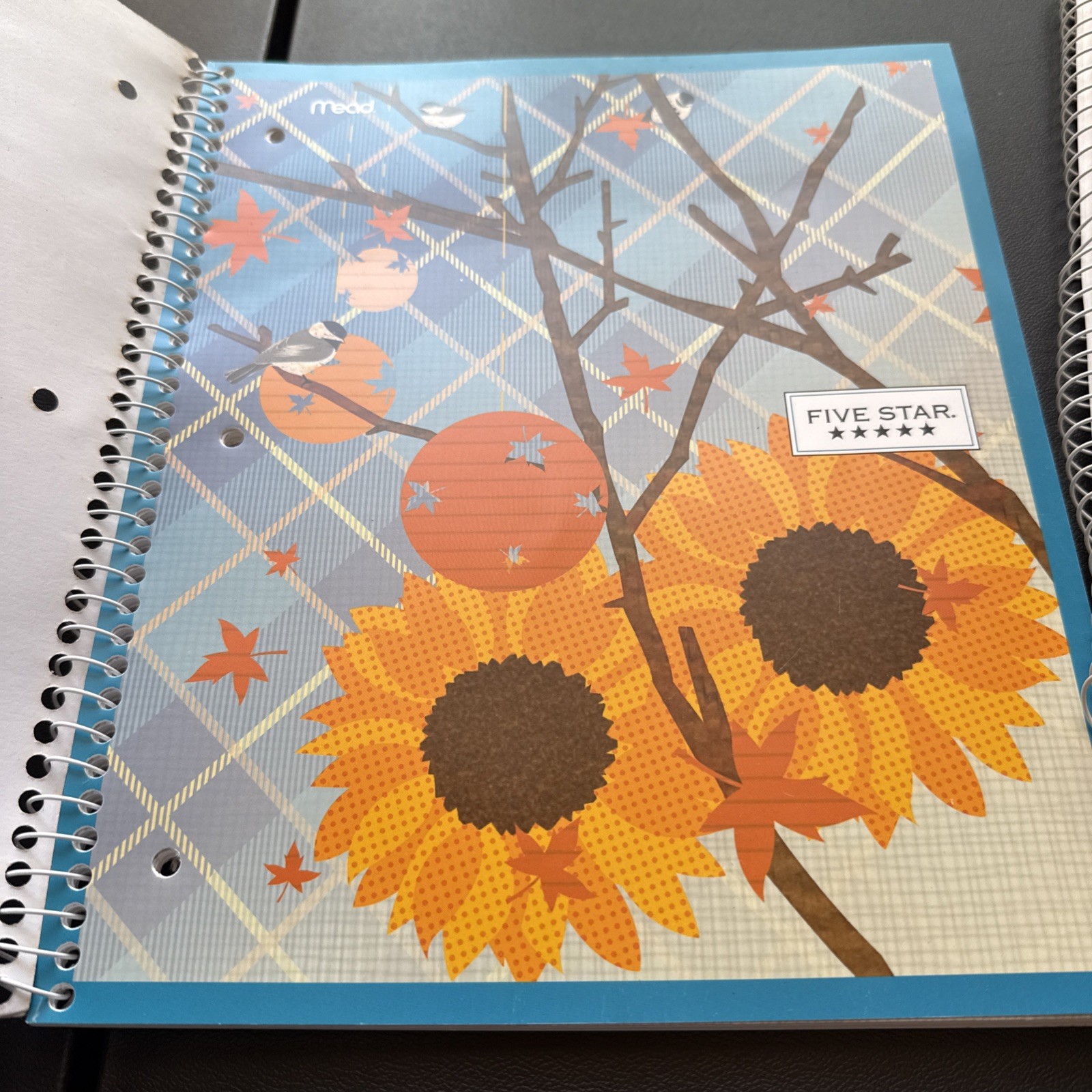 Lot Of 2 Five Star Notebook – 1 Subject College Ruled Paper – 100 Sheets Artists