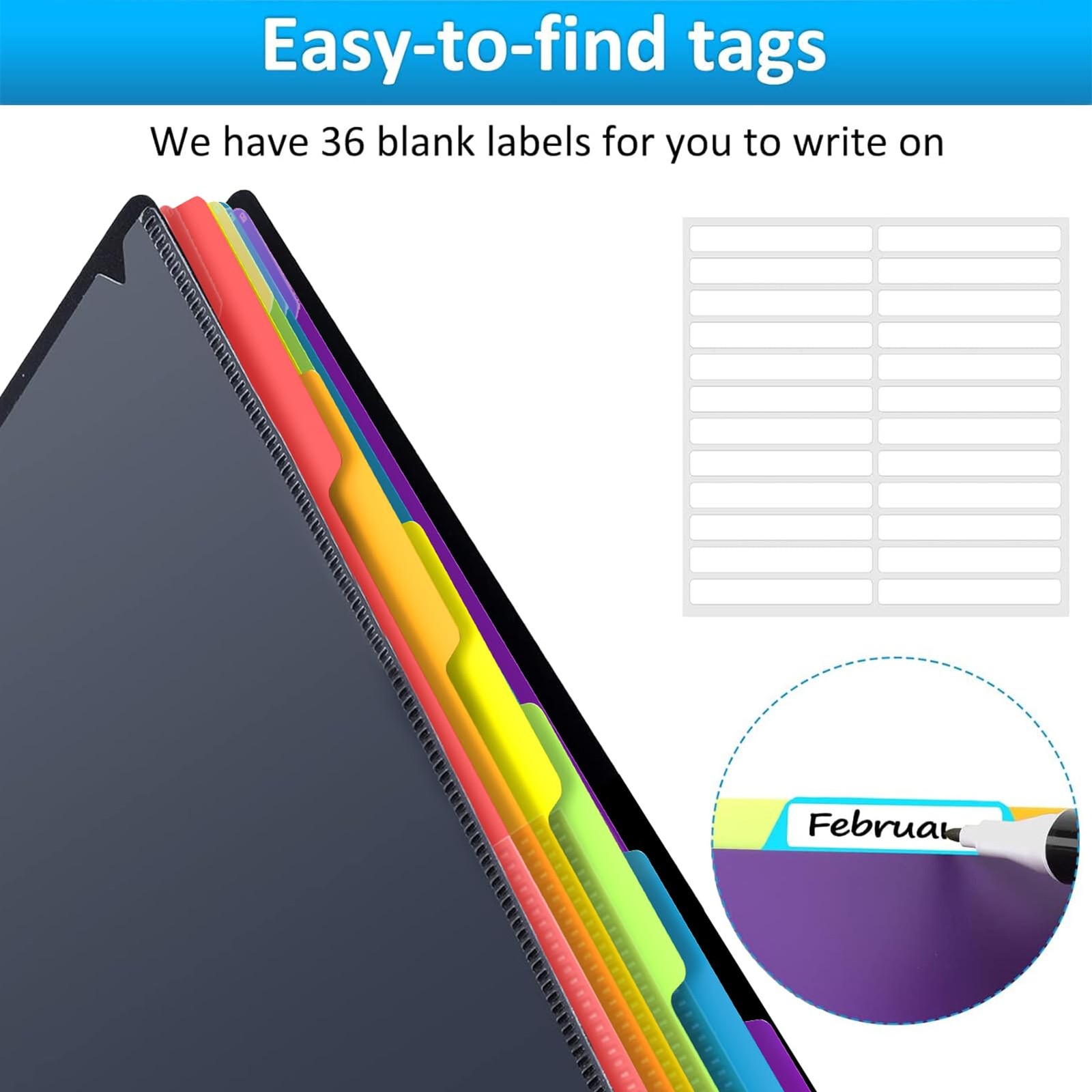HABGP 12 Pocket Plastic folders with Pockets, 6 Colors 12 Black