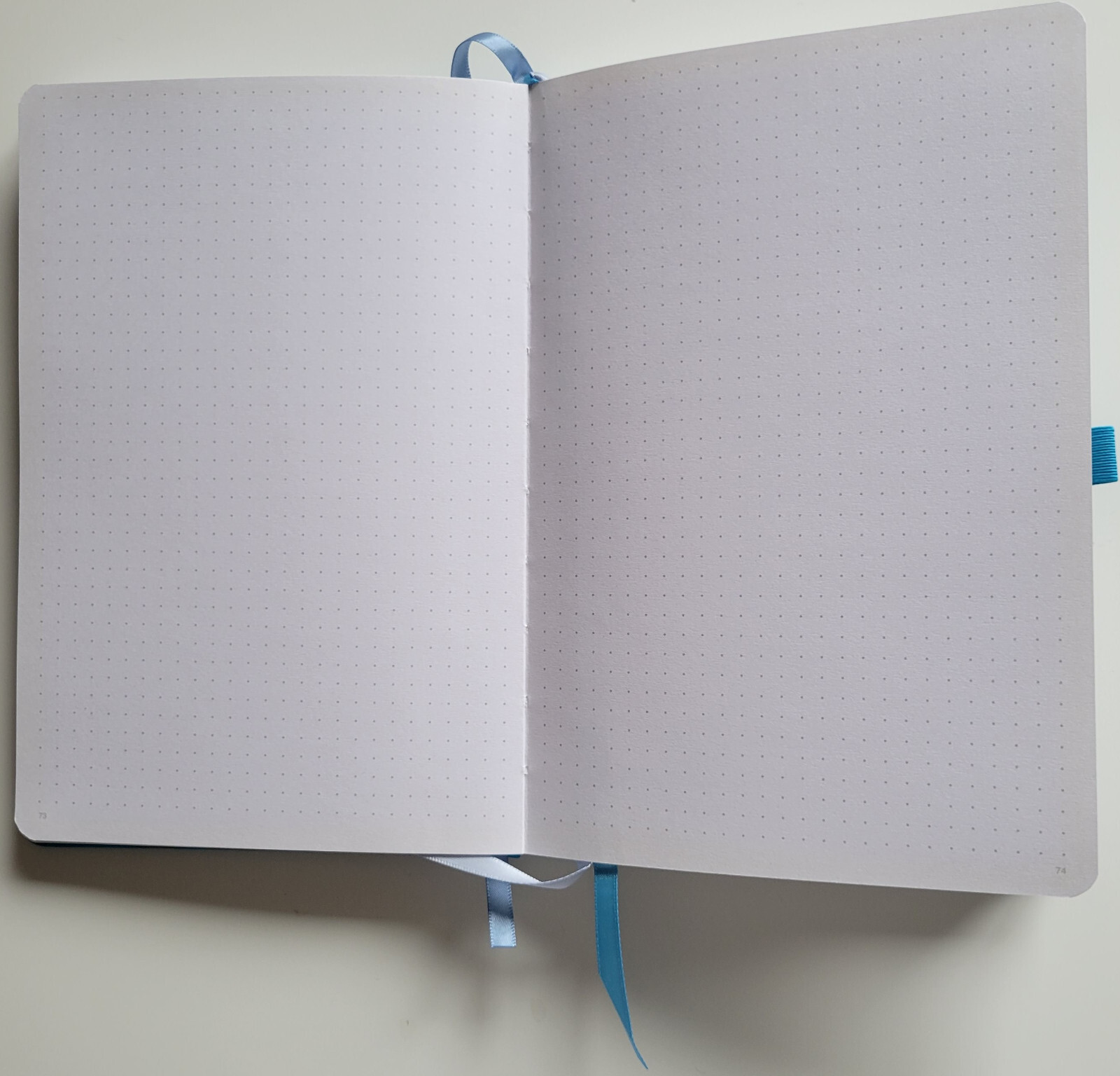 Vivid Scribbles Hardcover Dotted Journal Notebook