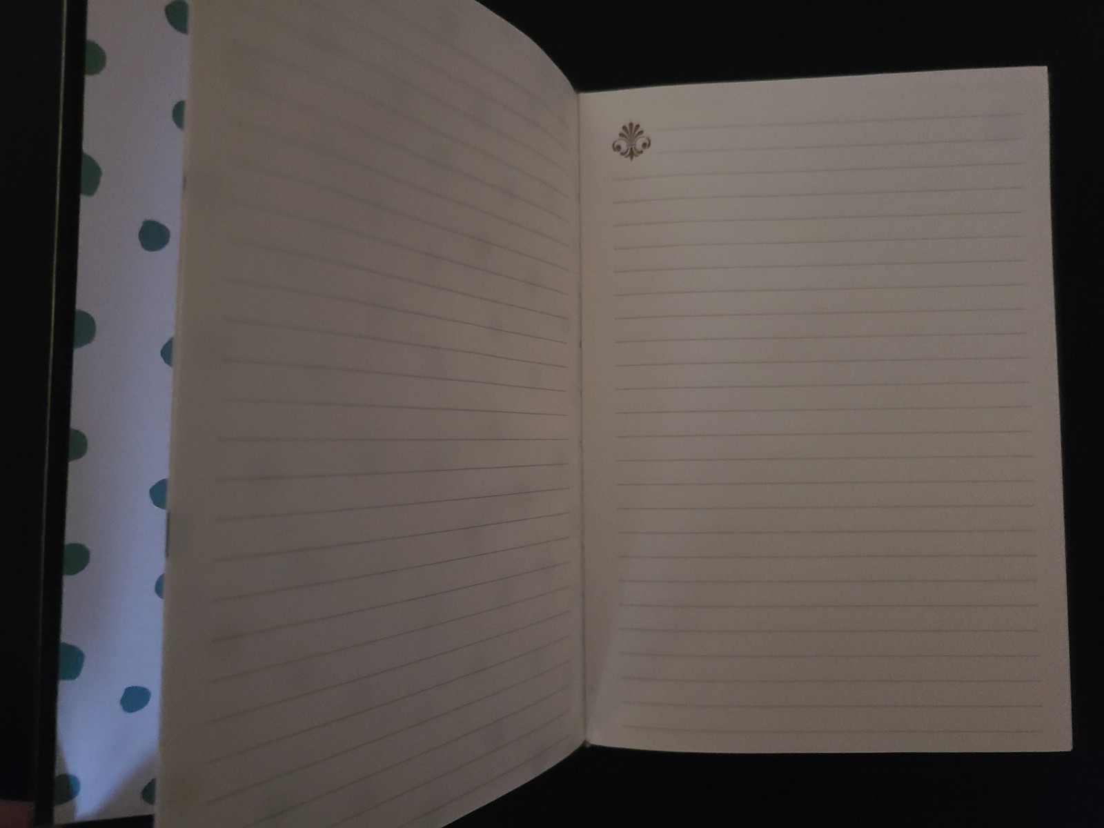 New Writing Notebooks Journals Lot of 4 Spiral Bound College Ruled Hardcover