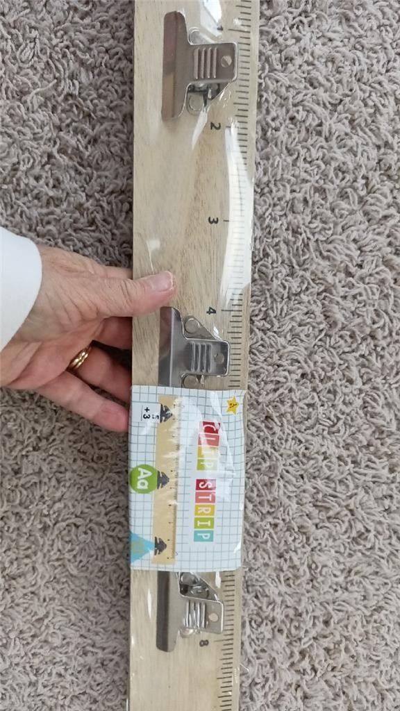 New Target Horizon Ruler Clip Strip Wall Decor Teacher Bullseye’s Playground NIP