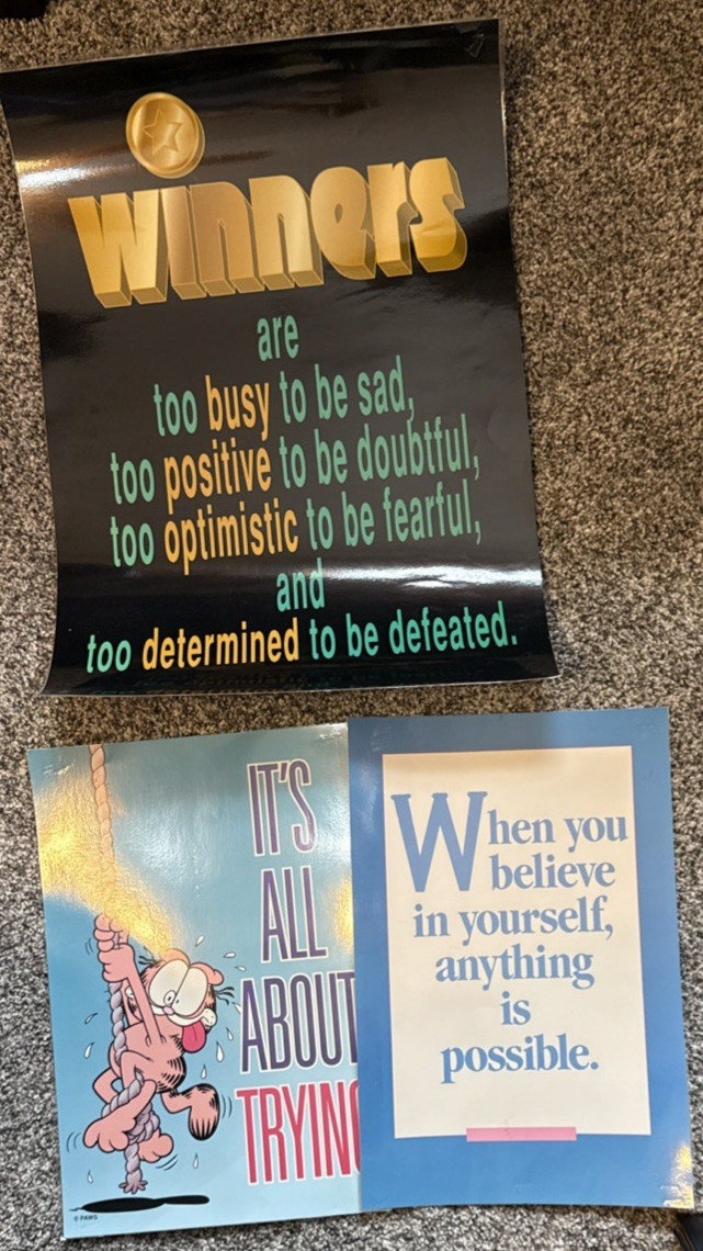 Classroom Poster Set 11 posters (2 sizes) laminated Argus brand (1 is not)