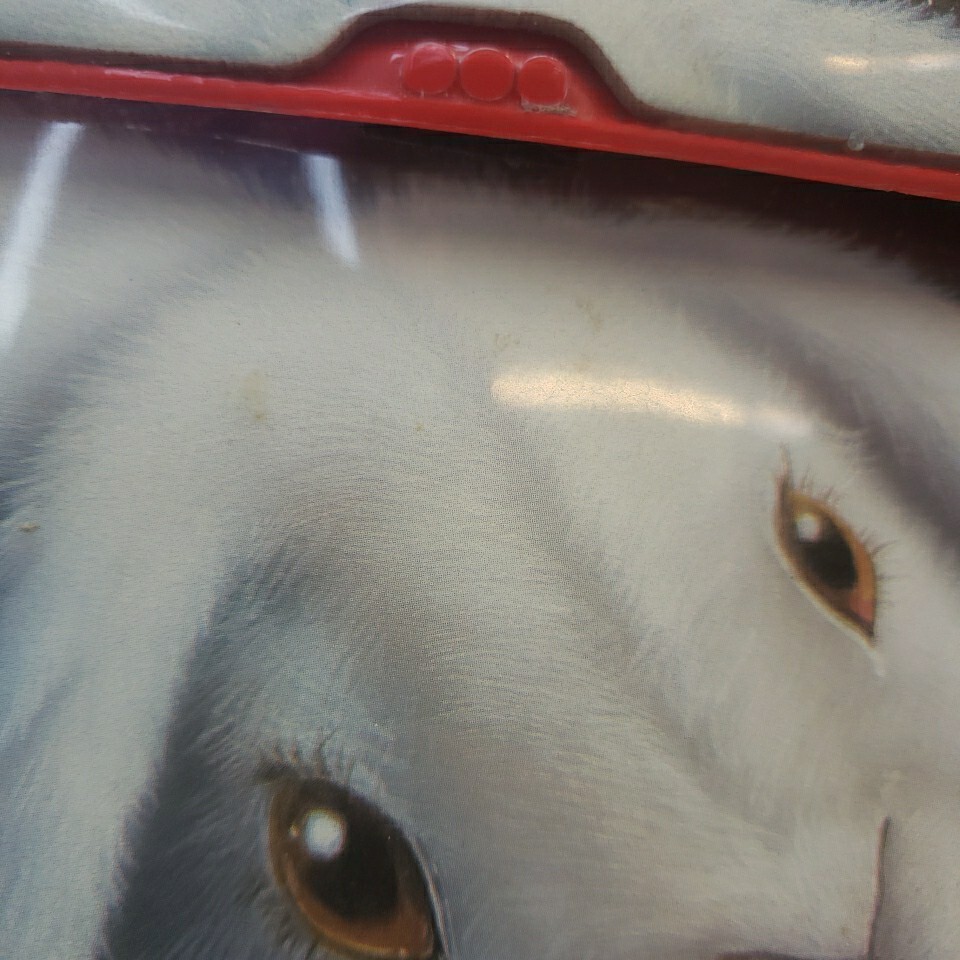 1992 Mead Trapper Keeper Notebook White Lop Bunny Rabbit Vintage 1990s #29096