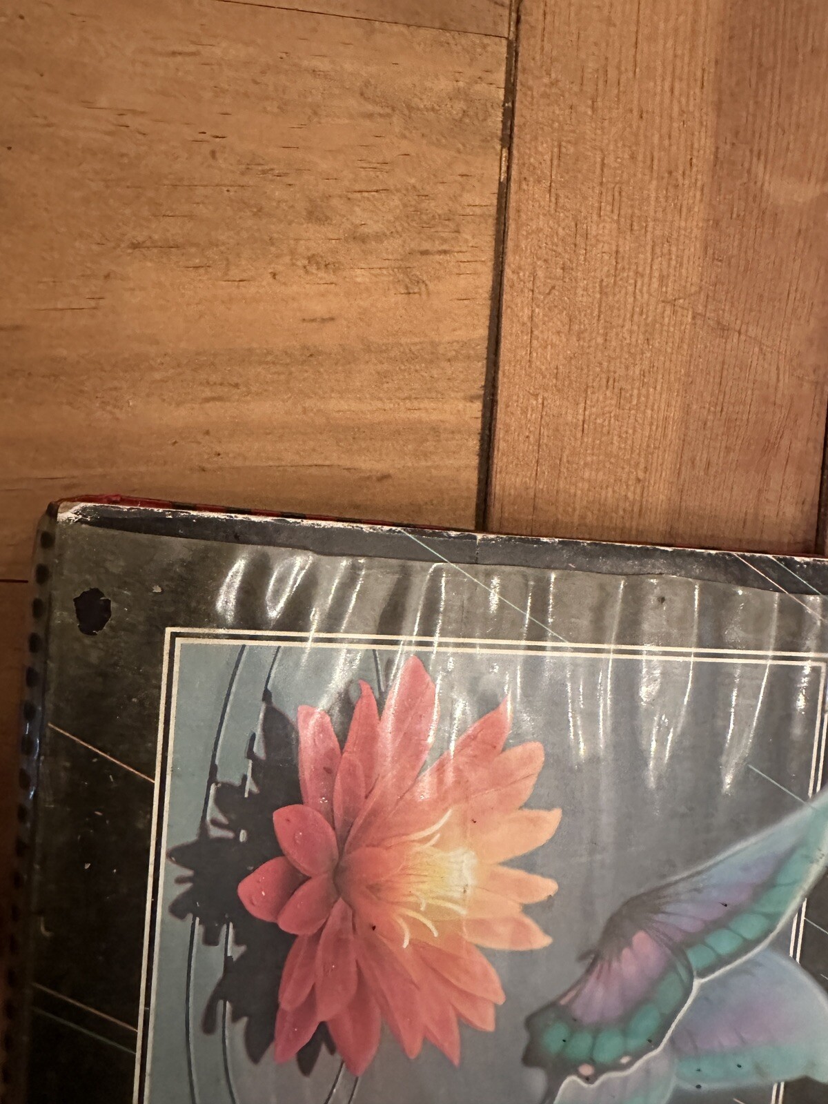 Mead Trapper Keeper 3 Vintage 90’s-Ring Binder Butterfly Water Lily Neon 29096