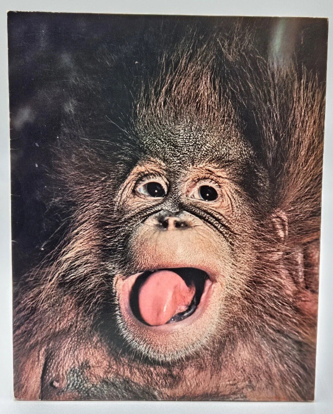 Vintage Duo-Tang Orangutan Pocket Folder Portfolio #57682 Made in USA Unpunched